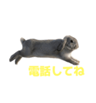 うさぎ J 2（個別スタンプ：36）