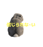 うさぎ J 2（個別スタンプ：37）