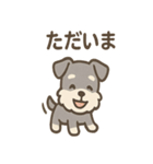 シュナのまったりトークスタンプ（個別スタンプ：1）