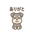 シュナのまったりトークスタンプ（個別スタンプ：3）