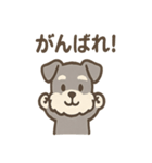 シュナのまったりトークスタンプ（個別スタンプ：8）