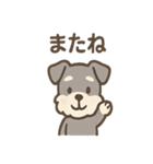 シュナのまったりトークスタンプ（個別スタンプ：10）