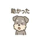 シュナのまったりトークスタンプ（個別スタンプ：17）