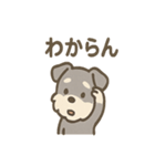 シュナのまったりトークスタンプ（個別スタンプ：19）