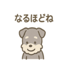 シュナのまったりトークスタンプ（個別スタンプ：22）