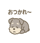 シュナのまったりトークスタンプ（個別スタンプ：29）