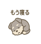 シュナのまったりトークスタンプ（個別スタンプ：30）