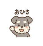 シュナのまったりトークスタンプ（個別スタンプ：31）