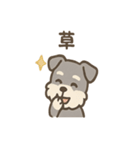 シュナのまったりトークスタンプ（個別スタンプ：34）
