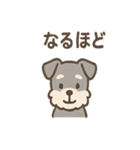シュナのまったりトークスタンプ（個別スタンプ：36）