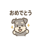 シュナのまったりトークスタンプ（個別スタンプ：39）
