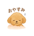 AIトイプードルの日常スタンプ！（個別スタンプ：8）