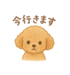 AIトイプードルの日常スタンプ！（個別スタンプ：10）