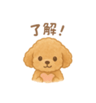 AIトイプードルの日常スタンプ！（個別スタンプ：11）