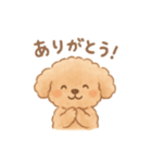 AIトイプードルの日常スタンプ！（個別スタンプ：13）