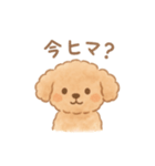 AIトイプードルの日常スタンプ！（個別スタンプ：17）