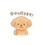 AIトイプードルの日常スタンプ！（個別スタンプ：19）