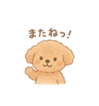 AIトイプードルの日常スタンプ！（個別スタンプ：20）