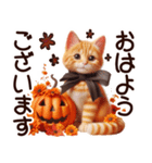 秋の茶トラ猫【よく使う言葉】（個別スタンプ：1）