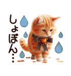 秋の茶トラ猫【よく使う言葉】（個別スタンプ：20）