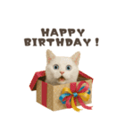 ネコのずっと使える誕生日＆お祝い♪（個別スタンプ：1）