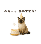 ネコのずっと使える誕生日＆お祝い♪（個別スタンプ：5）