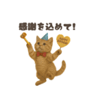 ネコのずっと使える誕生日＆お祝い♪（個別スタンプ：10）