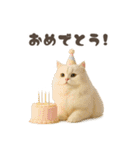 ネコのずっと使える誕生日＆お祝い♪（個別スタンプ：11）