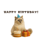 ネコのずっと使える誕生日＆お祝い♪（個別スタンプ：16）