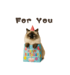 ネコのずっと使える誕生日＆お祝い♪（個別スタンプ：17）