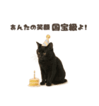 ネコのずっと使える誕生日＆お祝い♪（個別スタンプ：19）
