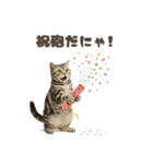 ネコのずっと使える誕生日＆お祝い♪（個別スタンプ：20）