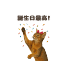 ネコのずっと使える誕生日＆お祝い♪（個別スタンプ：21）