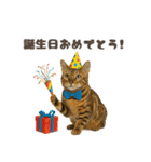 ネコのずっと使える誕生日＆お祝い♪（個別スタンプ：25）