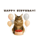 ネコのずっと使える誕生日＆お祝い♪（個別スタンプ：27）