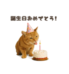 ネコのずっと使える誕生日＆お祝い♪（個別スタンプ：29）
