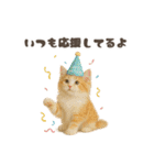 ネコのずっと使える誕生日＆お祝い♪（個別スタンプ：30）