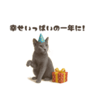 ネコのずっと使える誕生日＆お祝い♪（個別スタンプ：33）