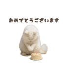 ネコのずっと使える誕生日＆お祝い♪（個別スタンプ：35）