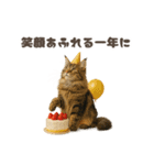 ネコのずっと使える誕生日＆お祝い♪（個別スタンプ：36）