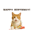 ネコのずっと使える誕生日＆お祝い♪（個別スタンプ：39）