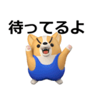 デカ動く 3D猛コーギー2（個別スタンプ：3）