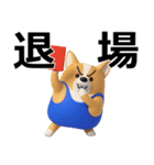 デカ動く 3D猛コーギー2（個別スタンプ：20）