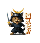 猫政宗【サムライ風】（個別スタンプ：27）