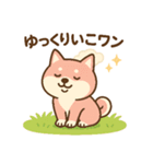 柴犬ワンワンStampシリーズno.3/2025（個別スタンプ：4）