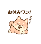 柴犬ワンワンStampシリーズno.3/2025（個別スタンプ：7）