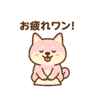 柴犬ワンワンStampシリーズno.3/2025（個別スタンプ：8）