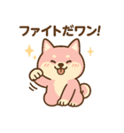 柴犬ワンワンStampシリーズno.3/2025（個別スタンプ：20）