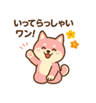 柴犬ワンワンStampシリーズno.3/2025（個別スタンプ：21）