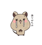 クオッカのクオちゃん（個別スタンプ：3）
